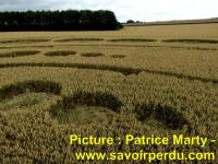 Avebury Stone Circle, Wiltshire crop circle, aerial photo 80